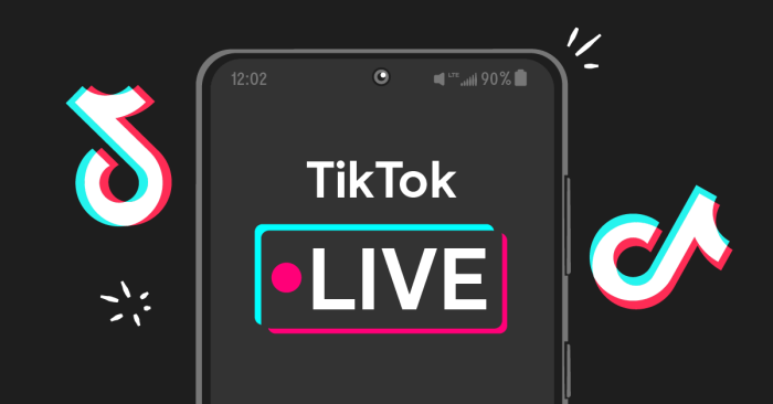 TikTok Downloaders: A Comprehensive Guide to Features and Functionality